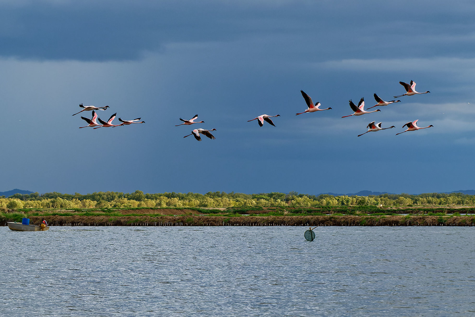 Mangroves de Madagascar